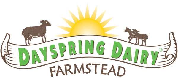 Dayspring Dairy